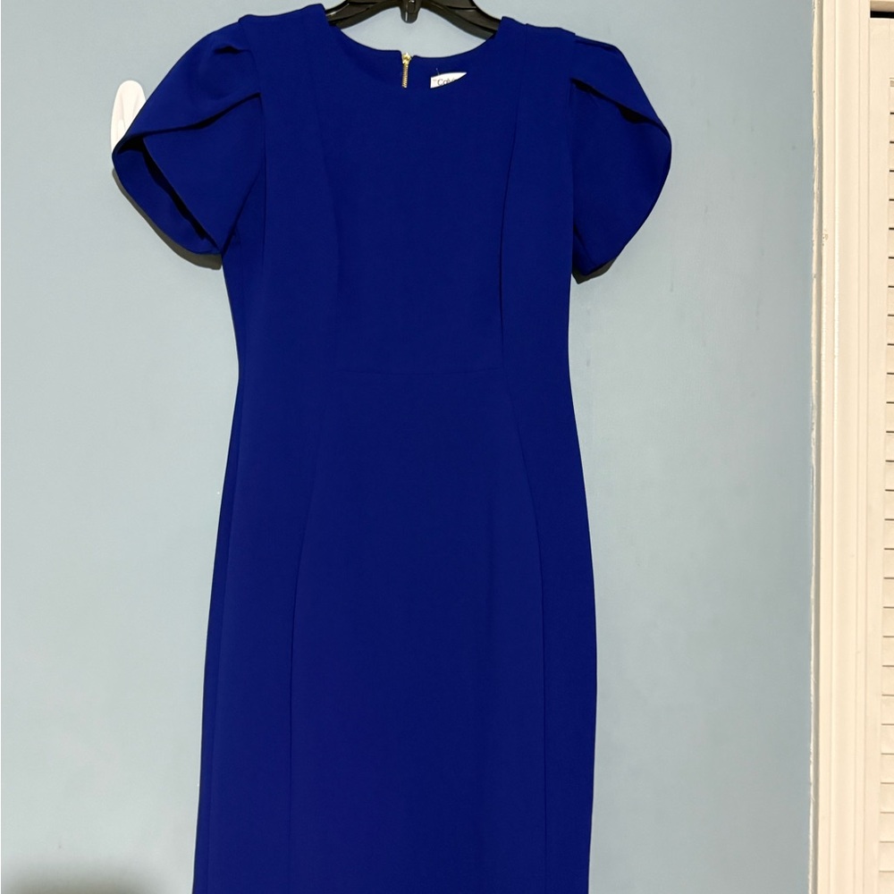 Calvin Klein Royal Blue Midi Dress - Picture 5 of 16